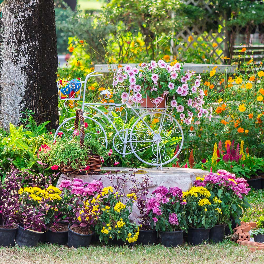 🌸 Japanese Premium 100 Flower Seeds Pack + FREE Plant Growth Booster! 🌱