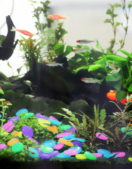 Garden Decor Luminous Stones Glow In Dark Decorative Pebbles Outdoor Fish Tank Decoration ( 100 Pcs )