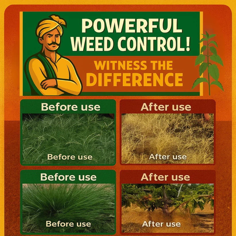 High Concentration Glufosinate Herbicide - Effective Weed Killer 🌾🌱 (Buy 1 Get 1 Free)