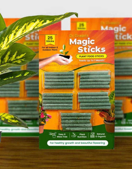 Magic Plant Food Sticks For All Indoor & Outdoor Plant