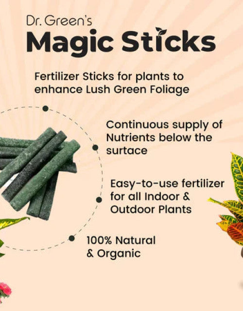 Magic Plant Food Sticks For All Indoor & Outdoor Plant