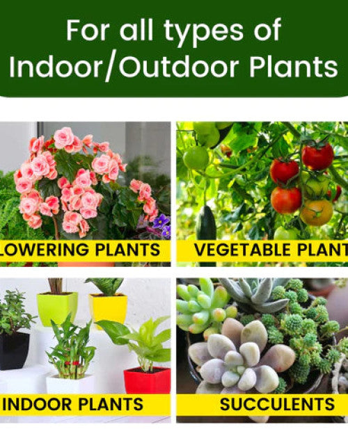 Magic Plant Food Sticks For All Indoor & Outdoor Plant
