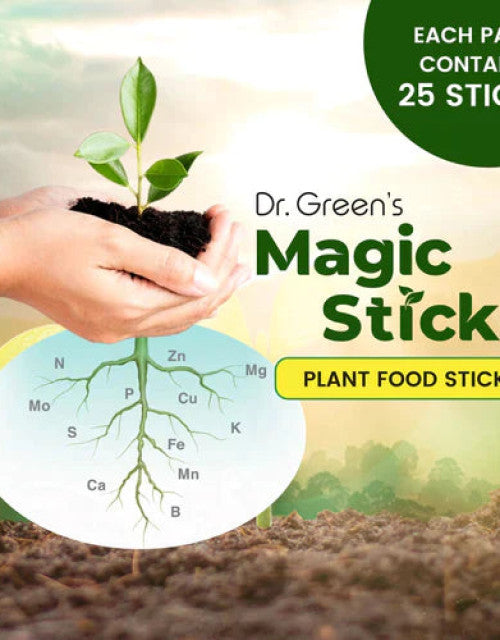 Magic Plant Food Sticks For All Indoor & Outdoor Plant